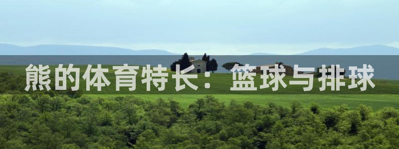 3377体育全网