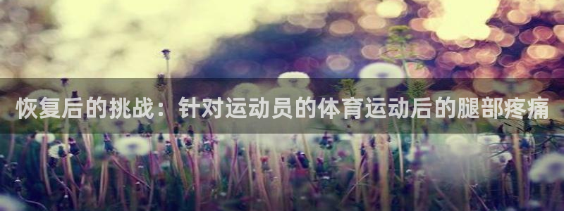 3377体育官网下载