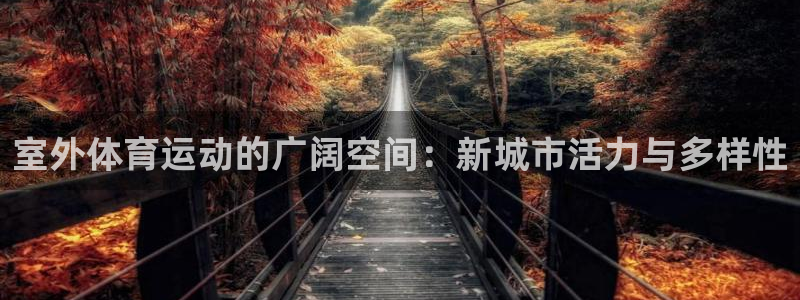 3377体育是正规的吗