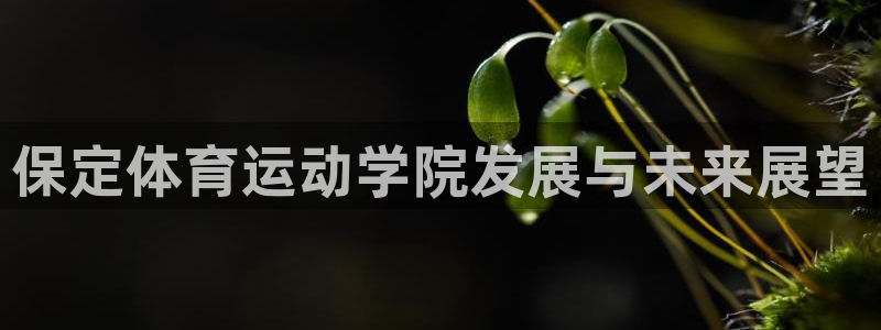 3377体育