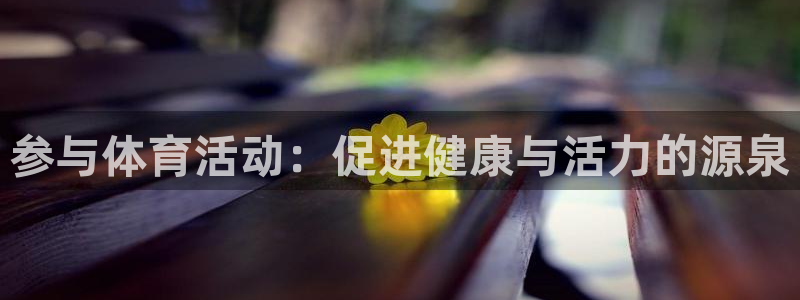 3377体育是正规的吗