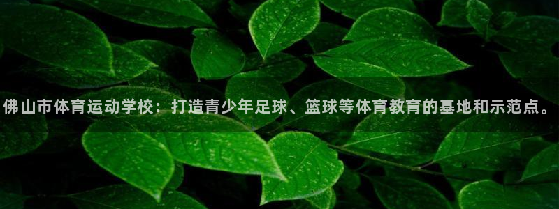 3377体育app官网下载地址