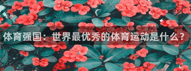 3377体育官网
