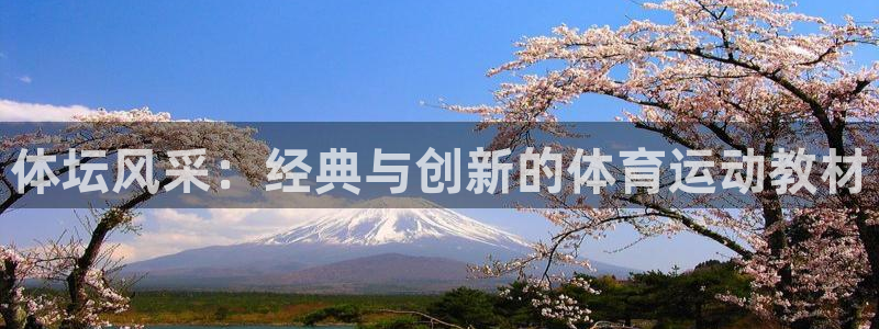 3377体育全网
