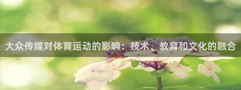3377体育官网下载