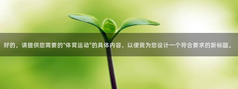3377体育官网入口网页版