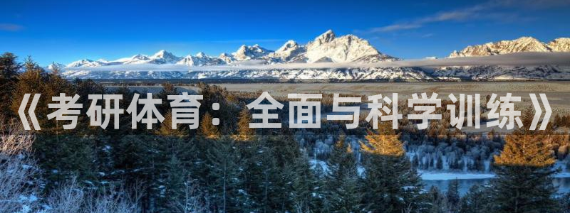 3377体育在线