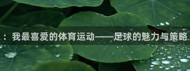 3377体育中国官方网站入口