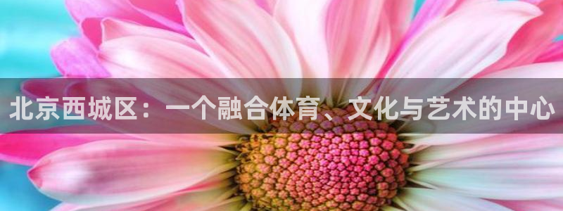 3377体育(中国)官方网站