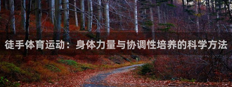 3377体育官方app下载
