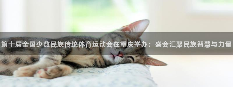 3377体育靠谱吗