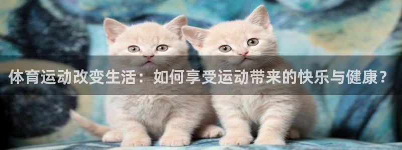 3377体育(中国)官方网站