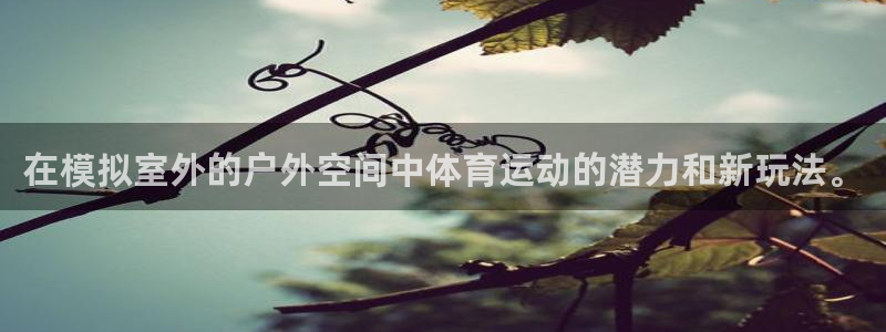 3377体育app登录入口