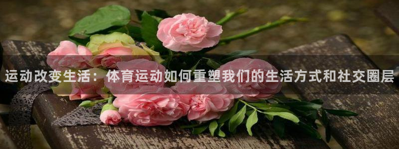 3377体育app登录入口